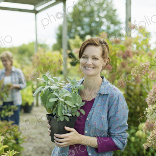 Two women working in a planthouse or greenhouse at an organic farm. Two women working in a planthouse or greenhouse at an organic farm.