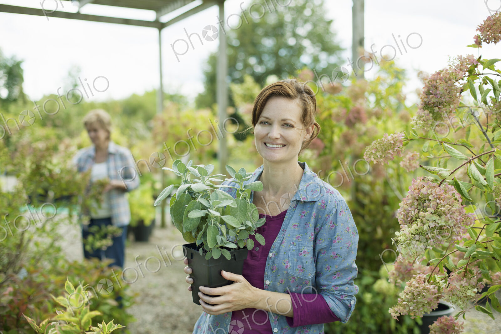 Two women working in a planthouse or greenhouse at an organic farm.