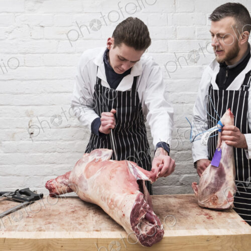 Two young men working, butchers jointing a whole lamb carcass. Two young men working, butchers jointing a whole lamb carcass.