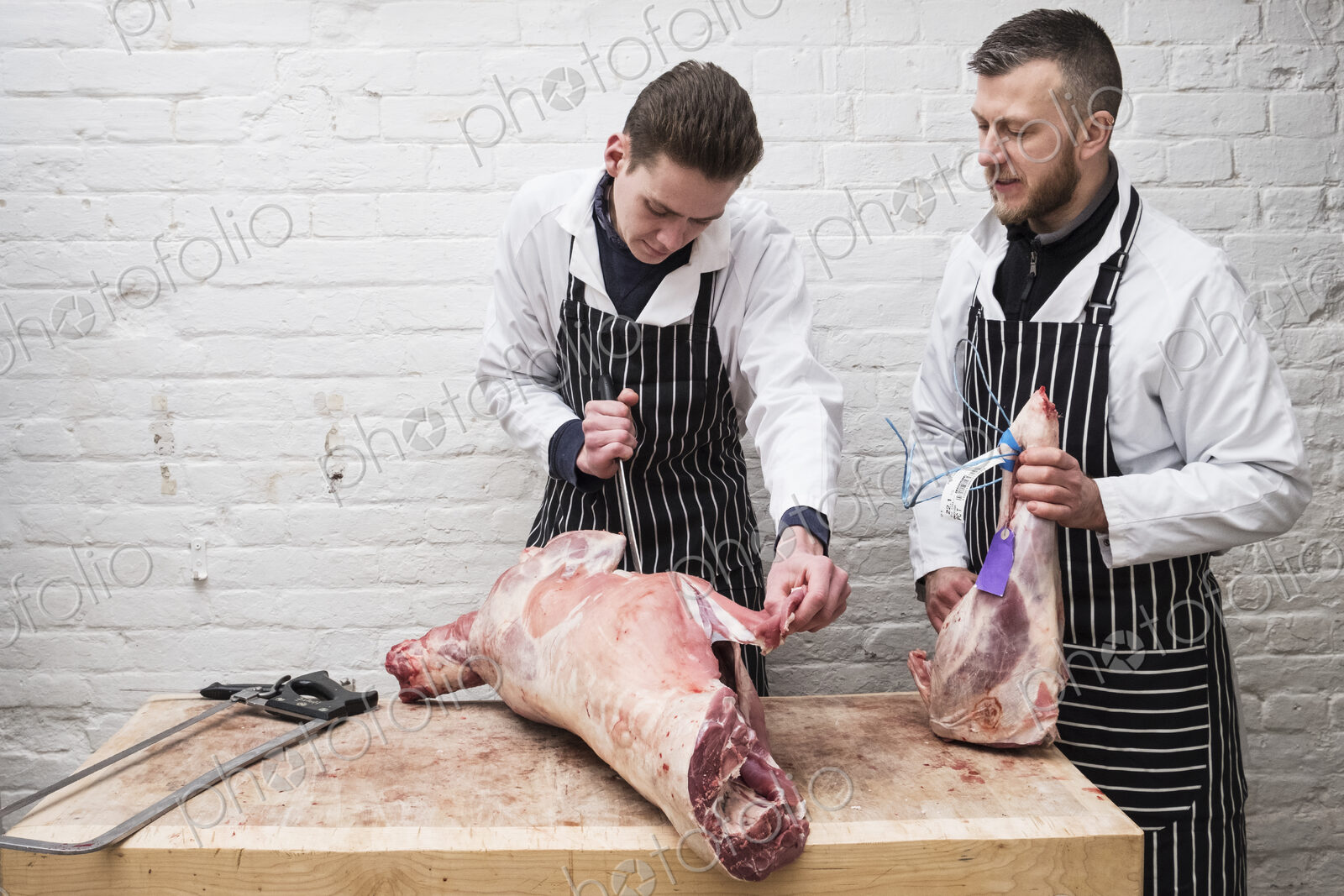Two young men working, butchers jointing a whole lamb carcass.