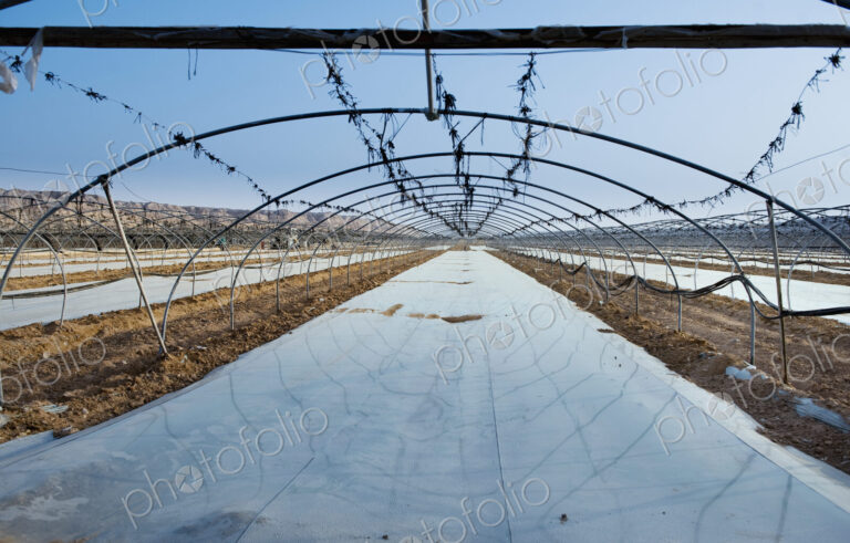 Uncovered Greenhouse