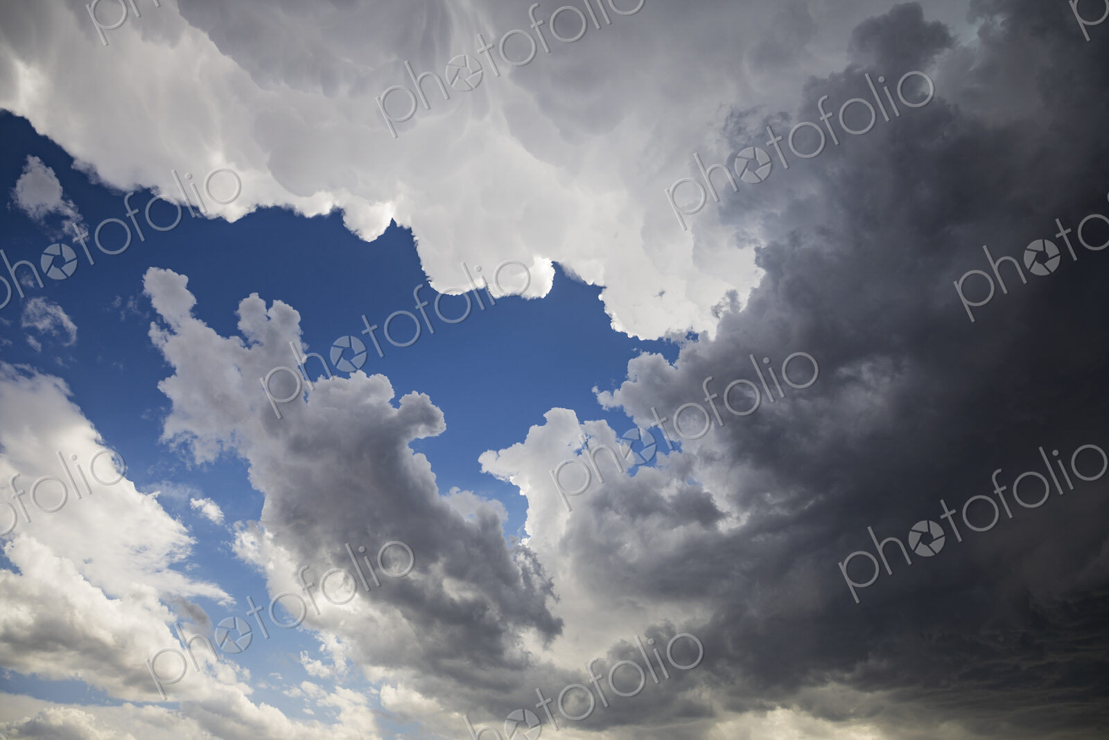 Under the Base of a Storm Looking up at the Edge of the Anvil