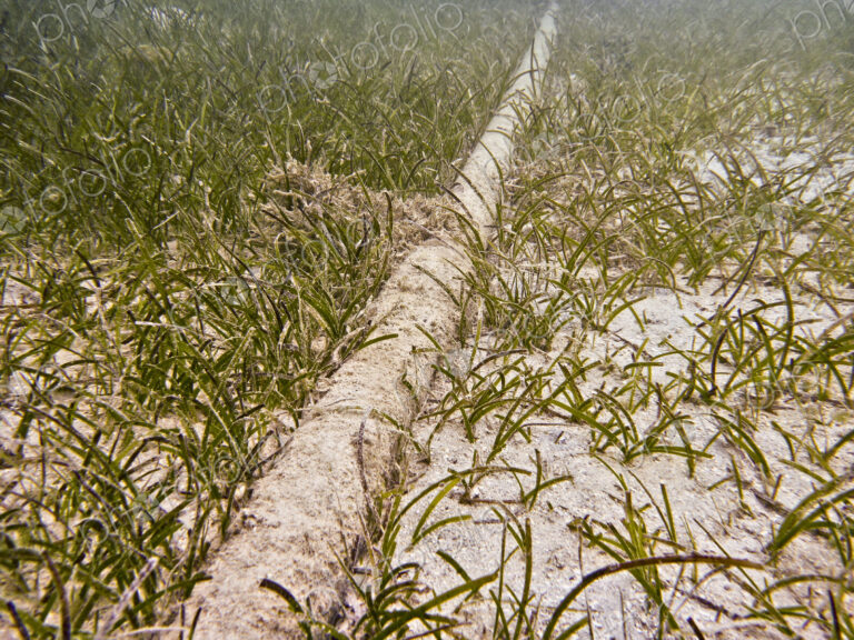 Underwater Cable