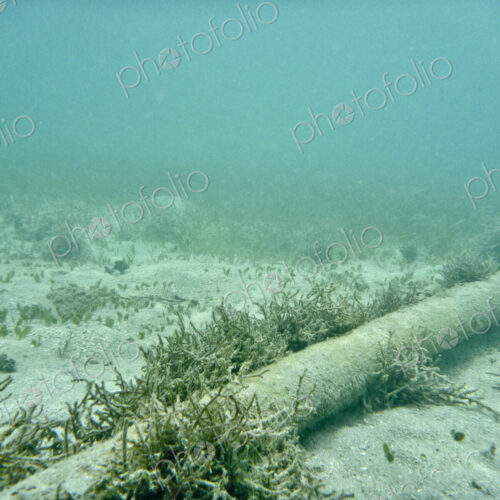 Underwater Cable On Sea Floor