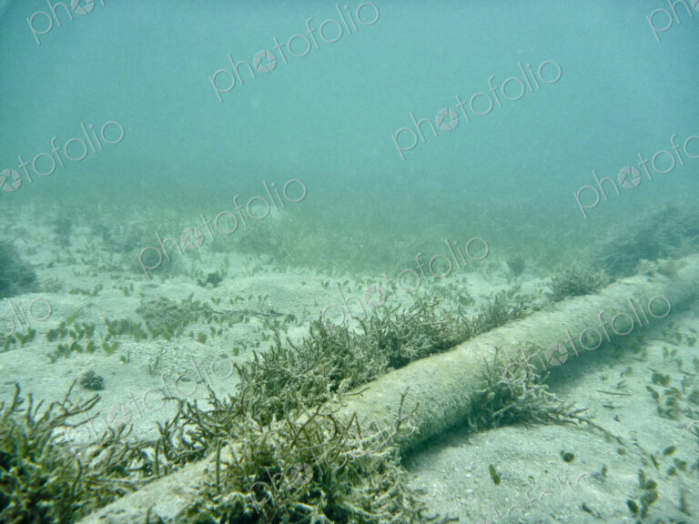 Underwater Cable On Sea Floor