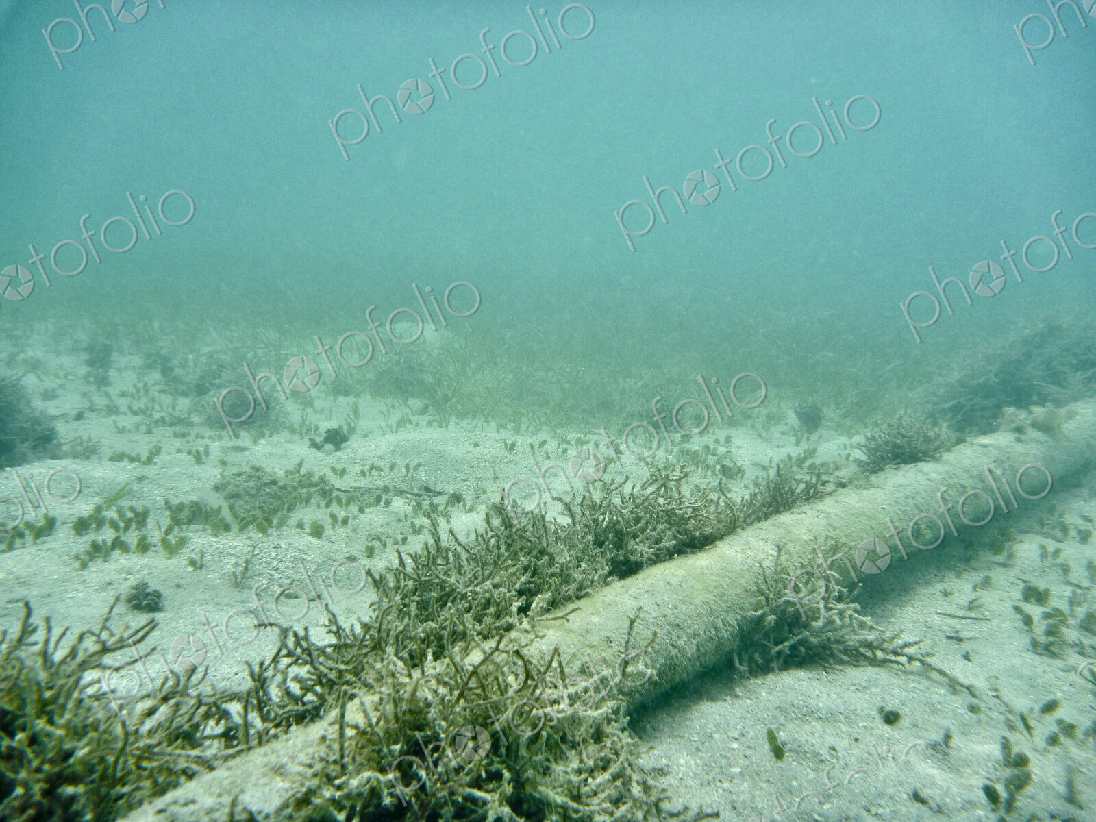 Underwater Cable On Sea Floor