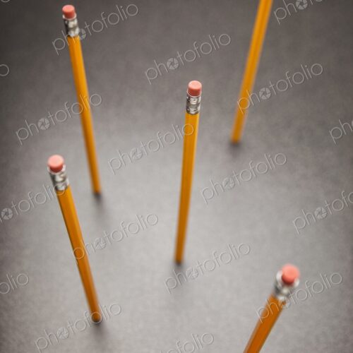 Unsharpened yellow no.2 pencils standing up on desk, view from above Unsharpened yellow no.2 pencils standing up on desk, view from above
