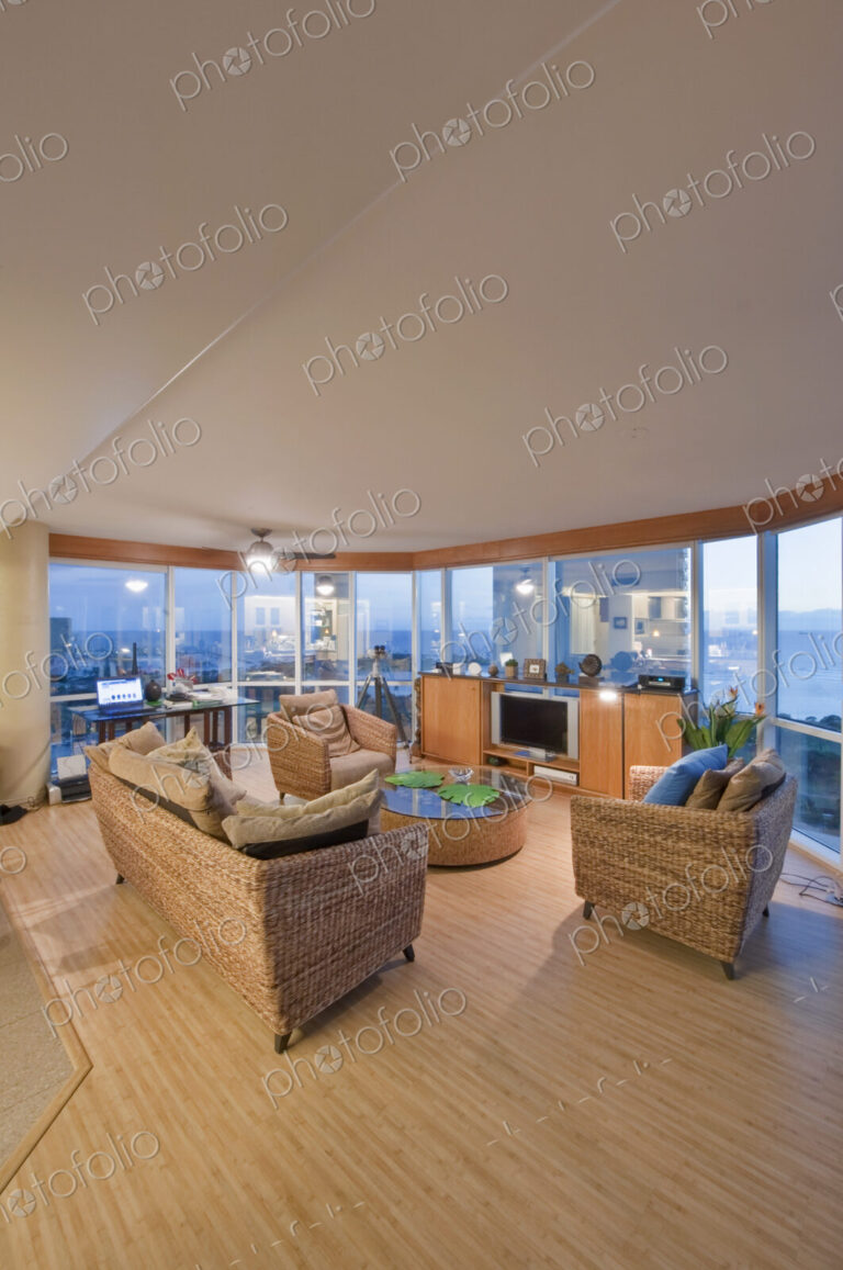 Upscale Living Room and Kichenette in High Rise Condo