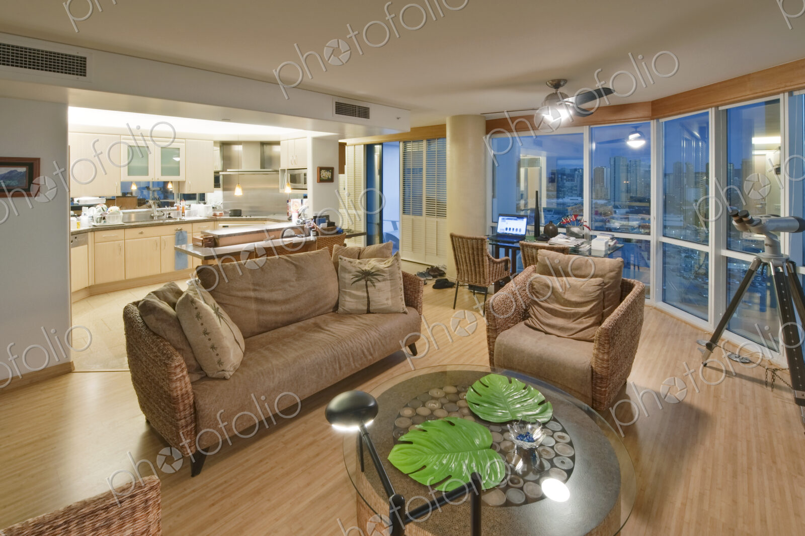 Upscale Living Room and Kichenette in High Rise Condo