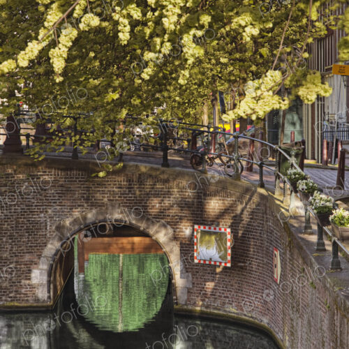 Urban bridge over canal with tree. Urban bridge over canal with tree.
