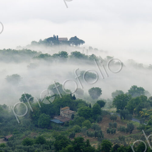 Valley Fog in the Val D'Orcia at Dawn