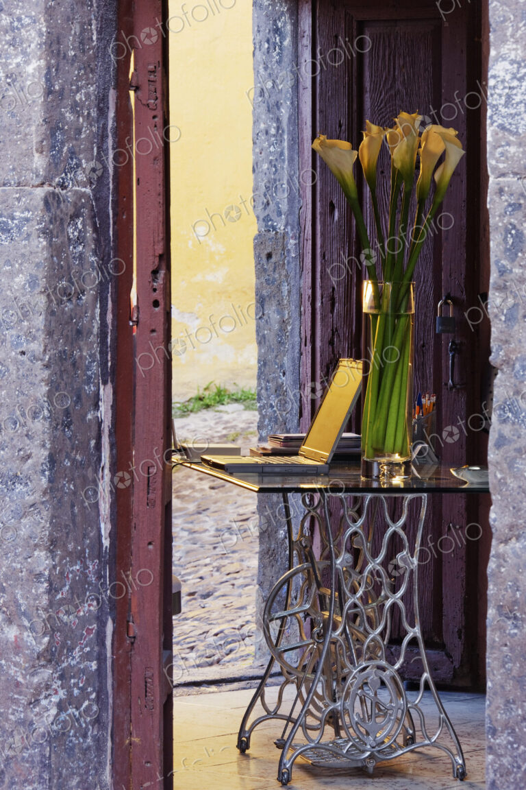 Vase and laptop on desk in old stone building.