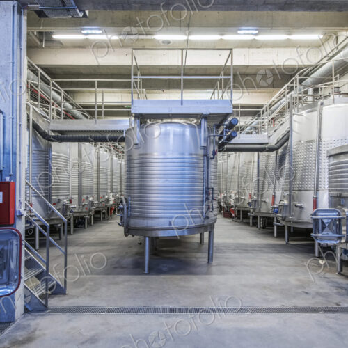 Vats in wine processing plant