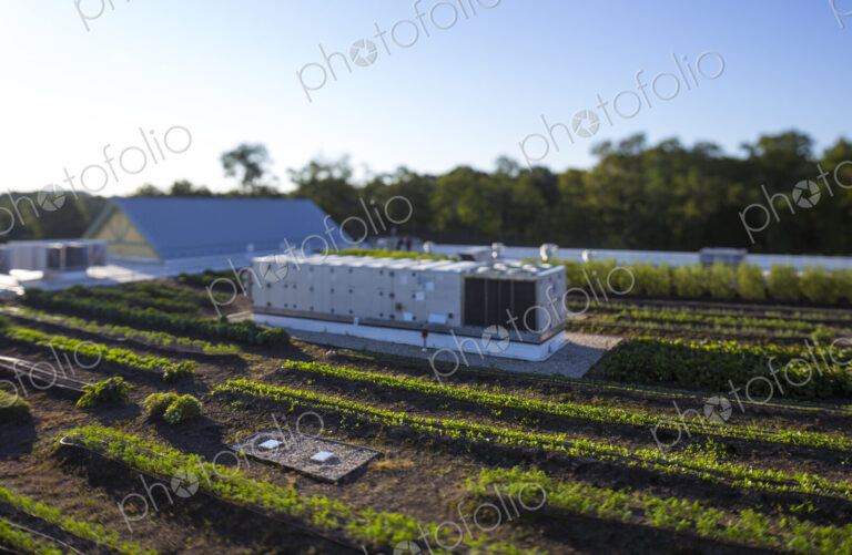 Vegetables growing on an organic farm, elevated view of the commercial organic…