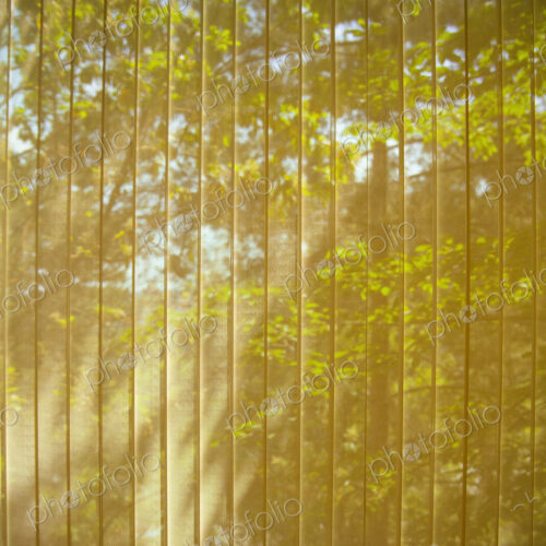 Vertical blinds on a window, closed, showing the sunlight illuminating foliage outside. Vertical blinds on a window, closed, showing the sunlight illuminating foliage outside.