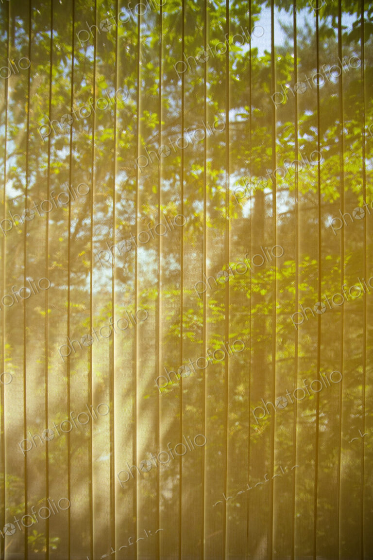 Vertical blinds on a window, closed, showing the sunlight illuminating foliage outside.