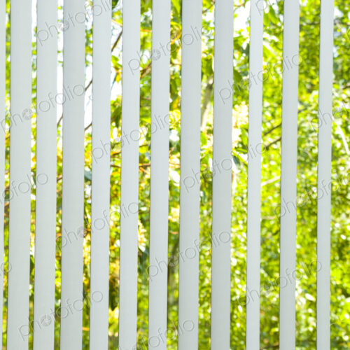 Vertical window blinds half closed, with sunlit foliage of tree branches with leaves… Vertical window blinds half closed, with sunlit foliage of tree branches with leaves…