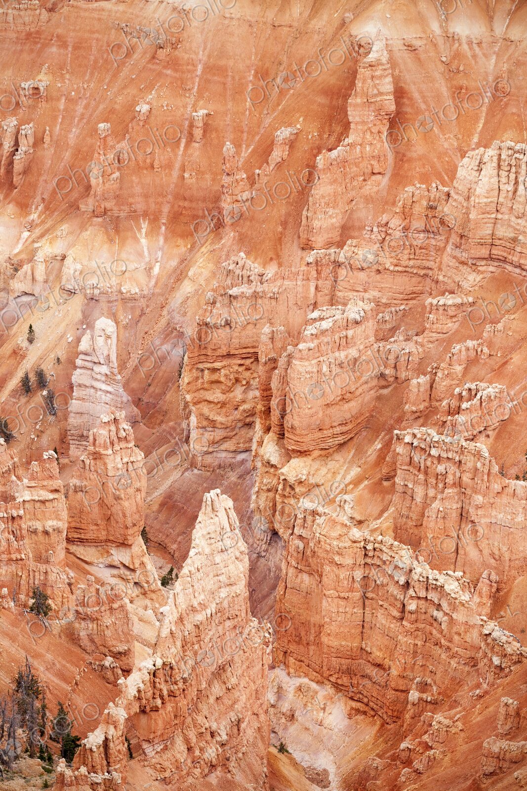 Vibrant red rock formations at Point Supreme, Cedar Breaks National Monument, showcase…