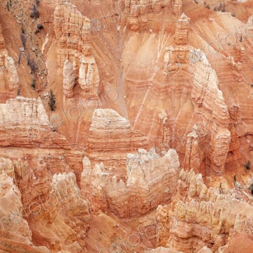 Vibrant red rock formations at Point Supreme, Cedar Breaks National Monument, showcase…