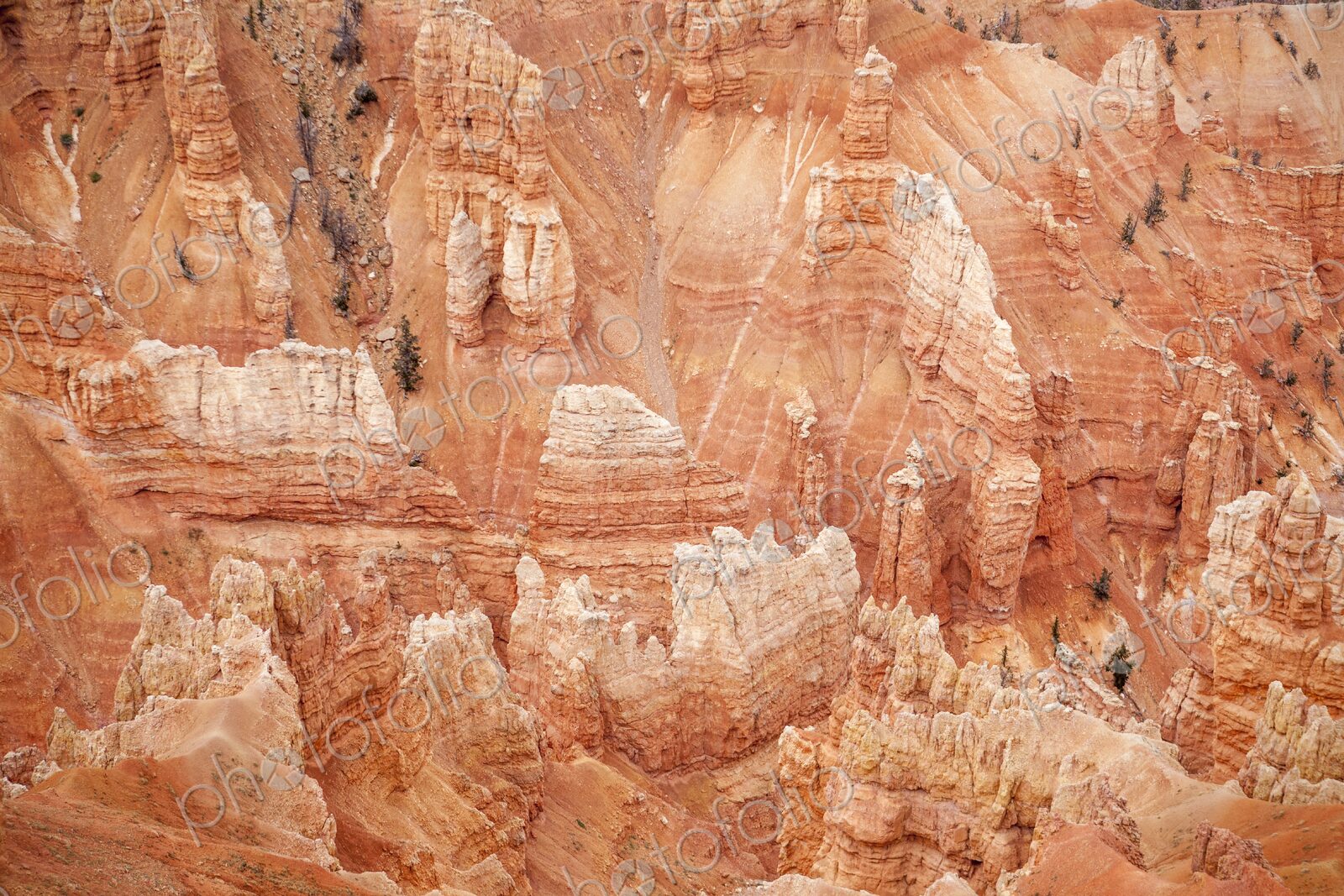 Vibrant red rock formations at Point Supreme, Cedar Breaks National Monument, showcase…
