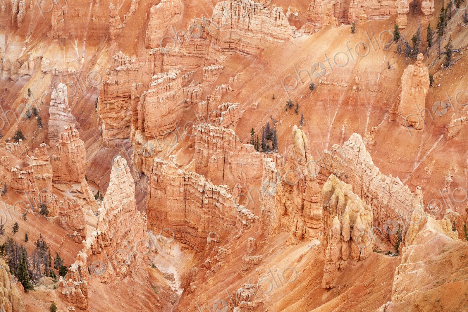 Vibrant red rock formations at Point Supreme, Cedar Breaks National Monument, view…