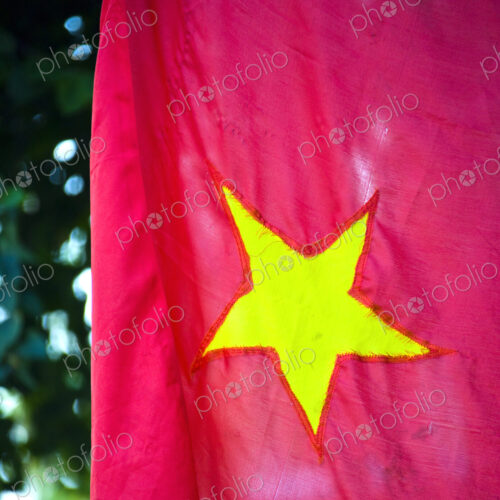 Vietnamese Flag Vietnamese Flag