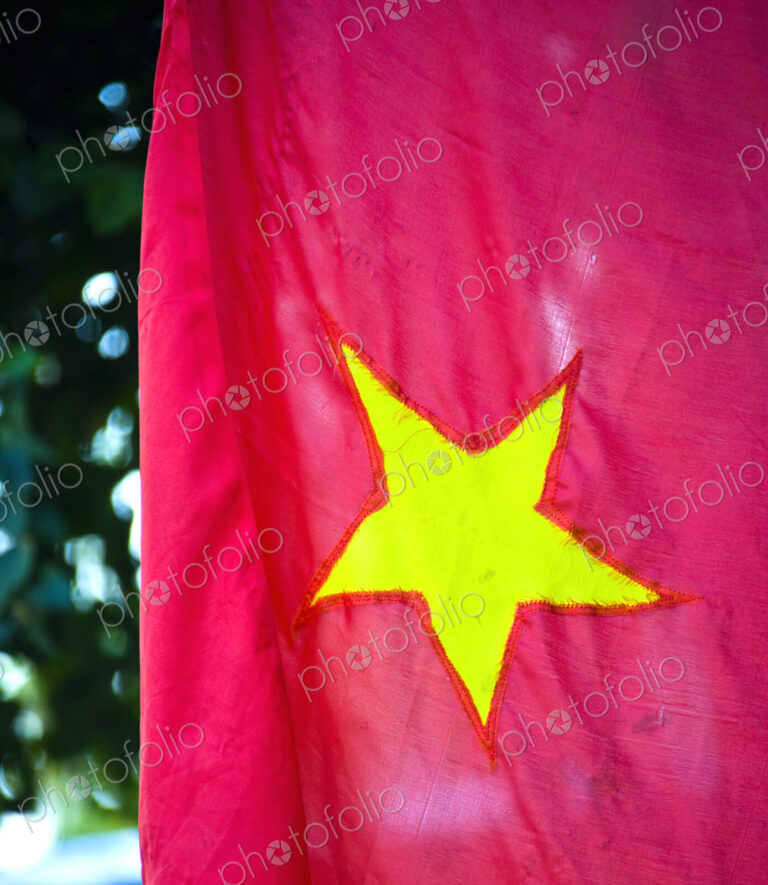 Vietnamese Flag