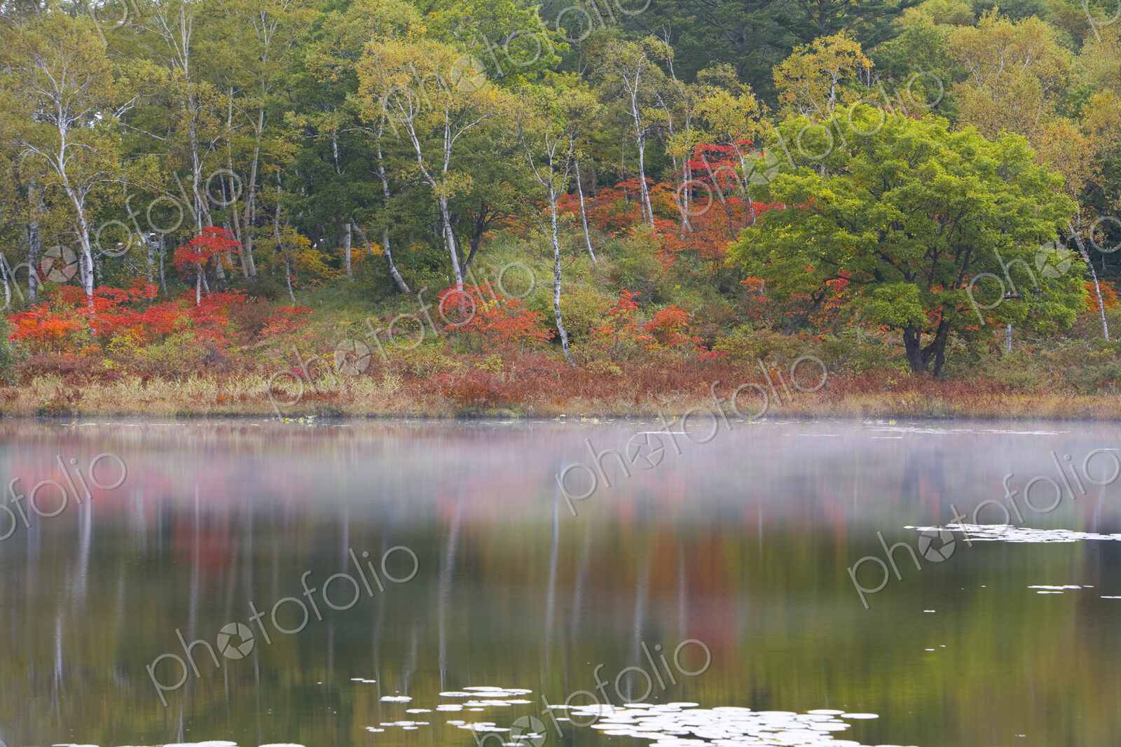 View across a calm lake to trees with autumn foliage