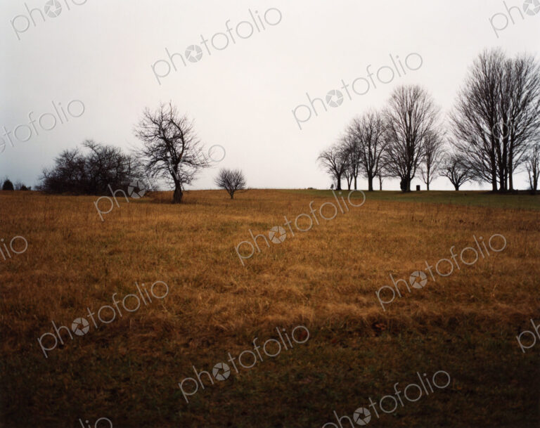 View across a field in winter, brown vegetation and bare trees against a grey sky.