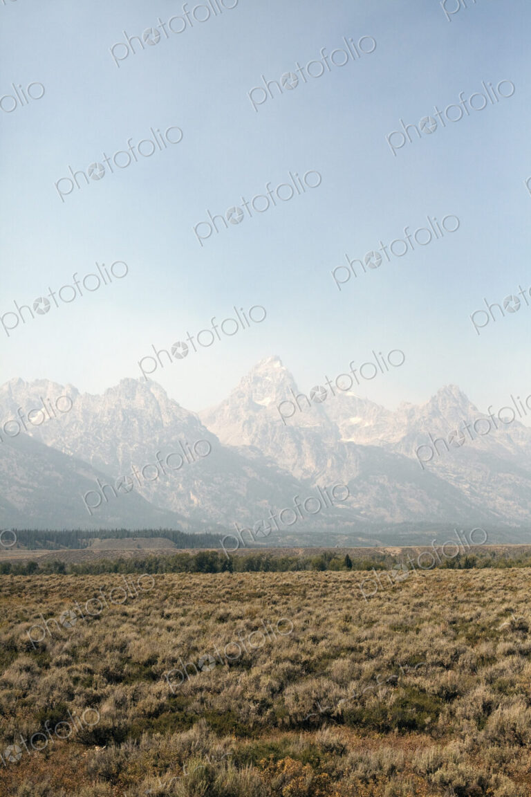 View across a flat landscape to a range of snow capped mountains.