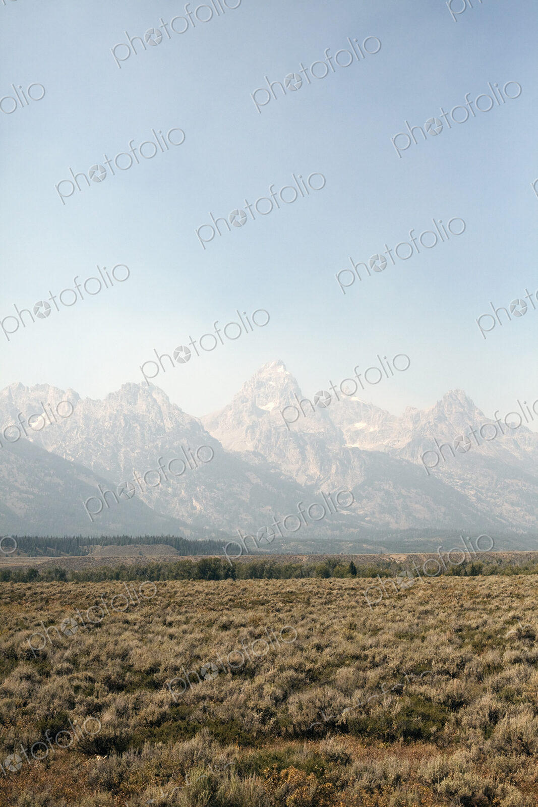 View across a flat landscape to a range of snow capped mountains.
