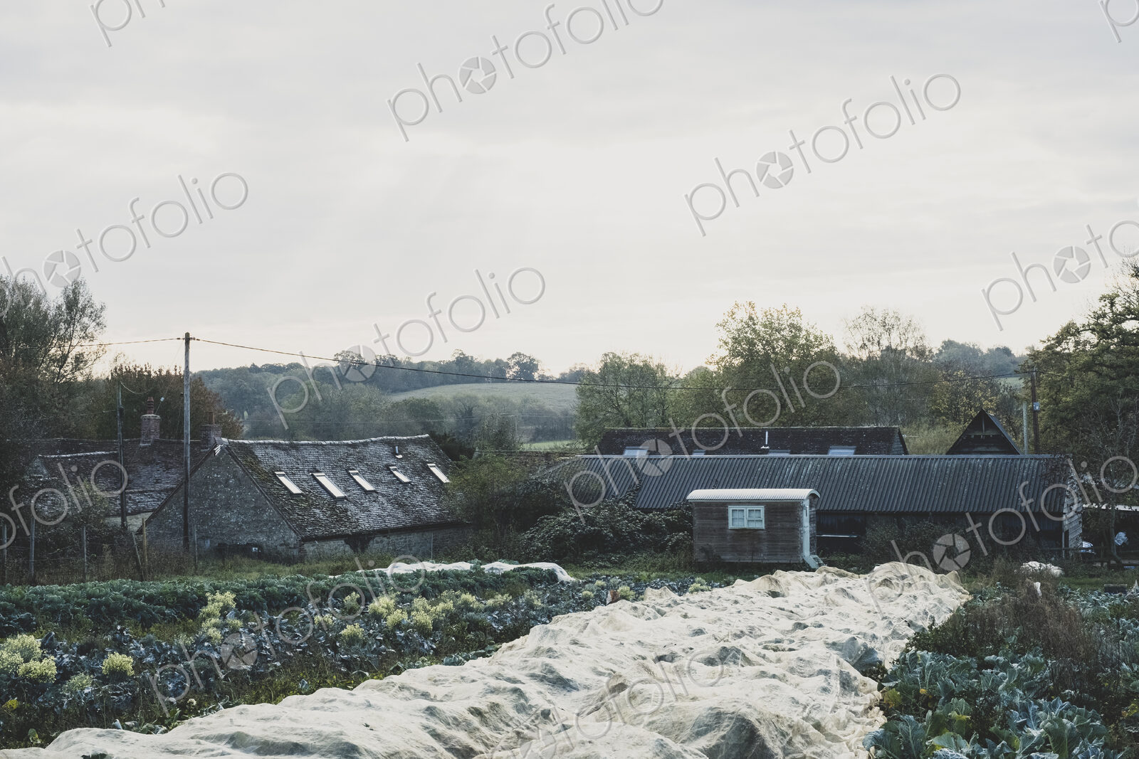 View across fields on vegetable farm covered in cloth, farm buildings in the background.