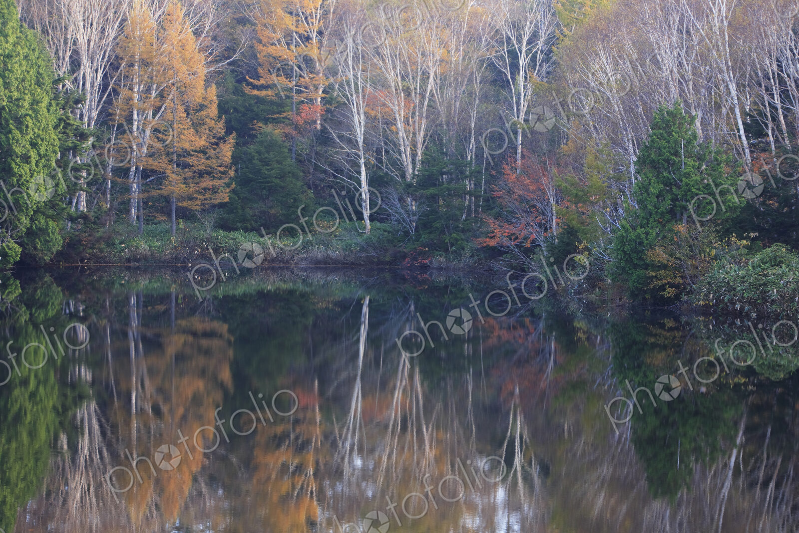 View across lake with reflections of trees with autumn foliage in the water.