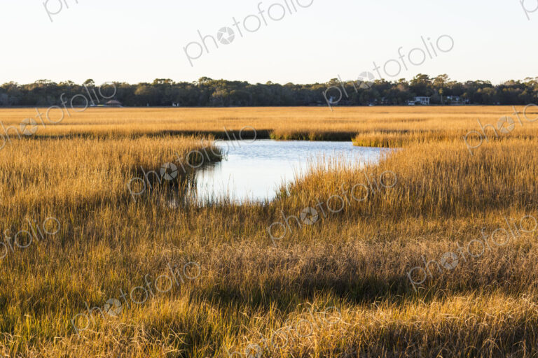 View across the salt marshes and wildlife reserve on a coastal island.