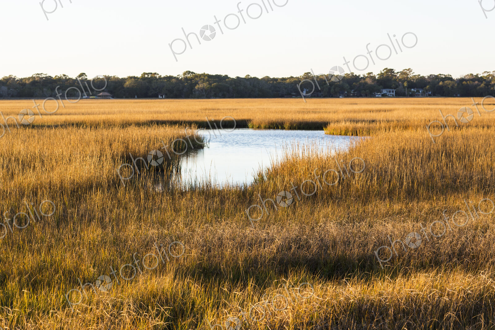View across the salt marshes and wildlife reserve on a coastal island.