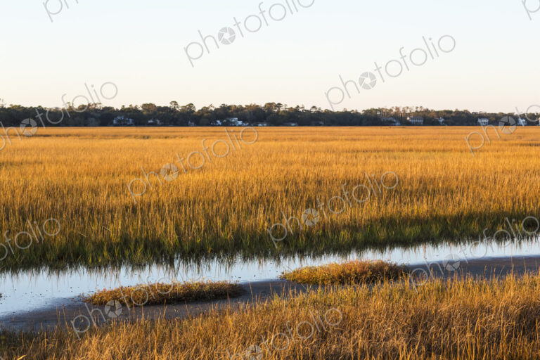 View across the salt marshes and wildlife reserve on a coastal island.