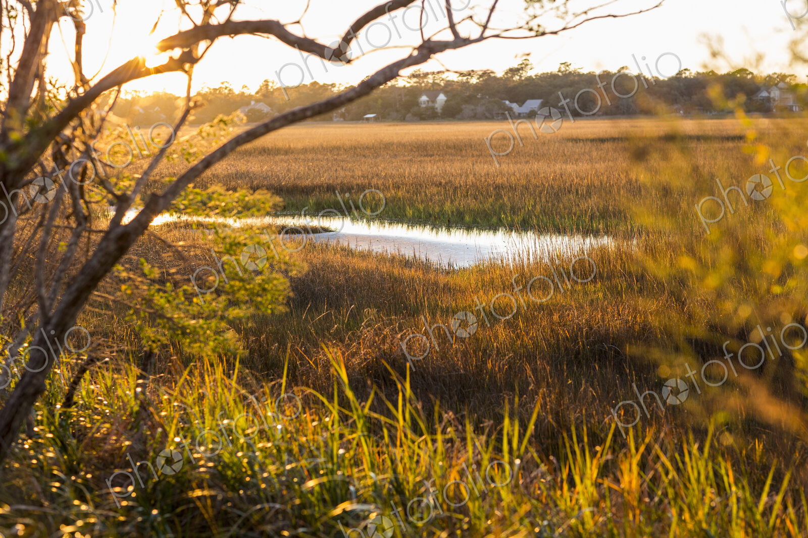 View across the salt marshes and wildlife reserve on a coastal island.