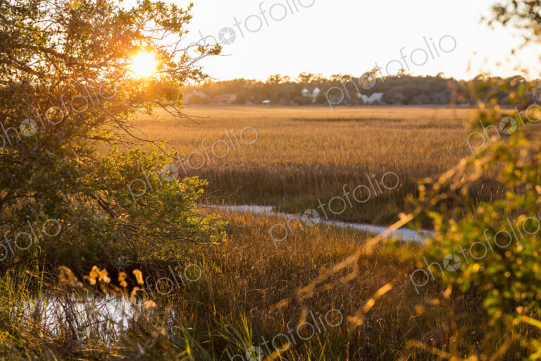 View across the salt marshes and wildlife reserve on a coastal island.
