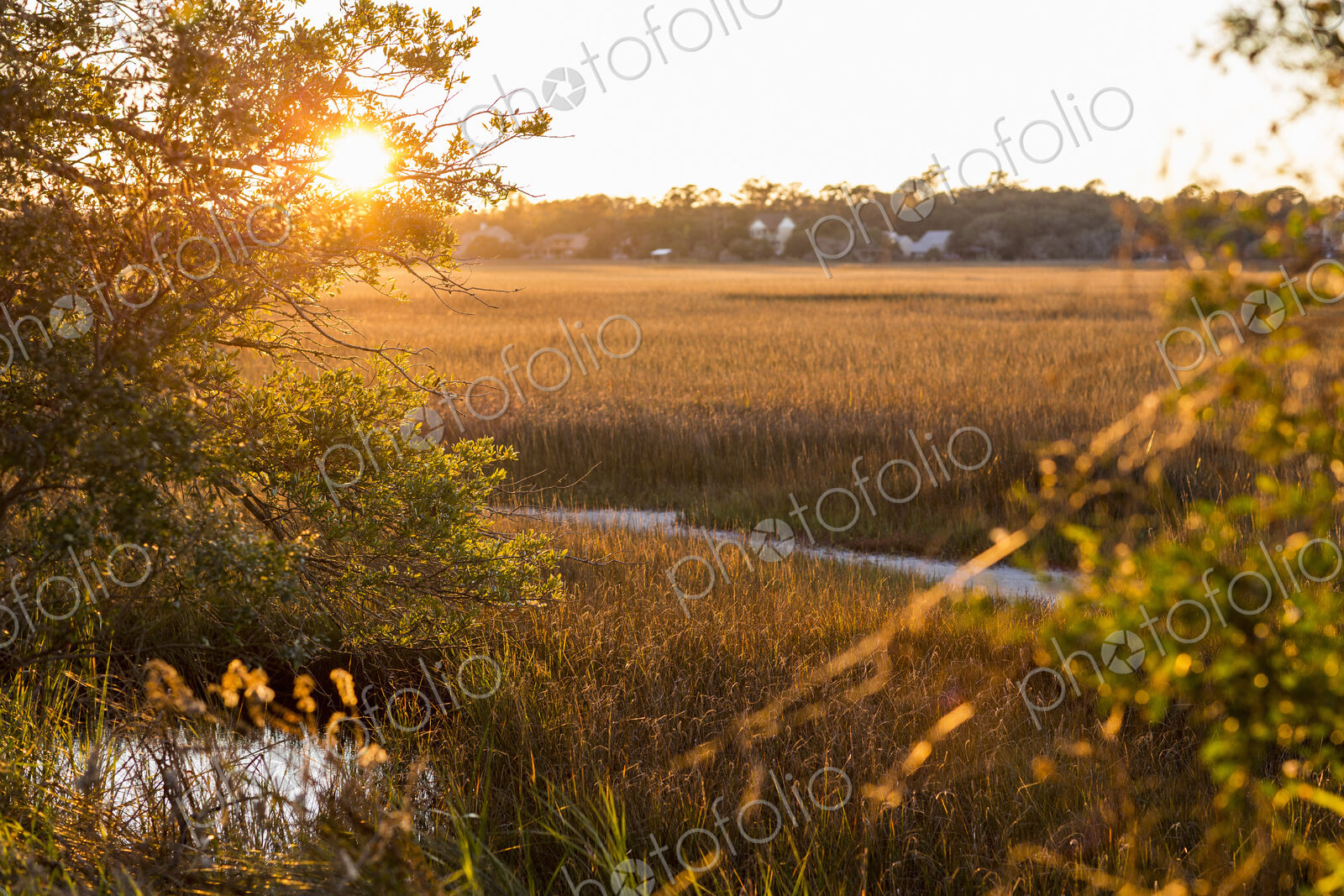 View across the salt marshes and wildlife reserve on a coastal island.