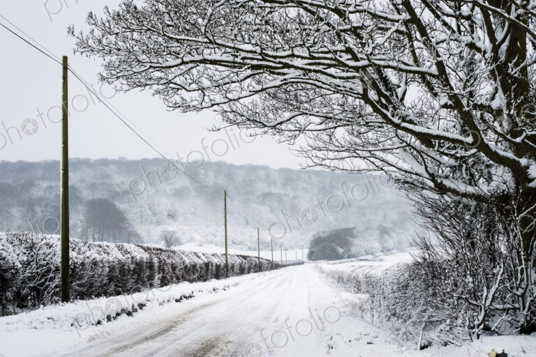 View along a rural road lined with snow-covered trees and hedges, with trees on a hill…