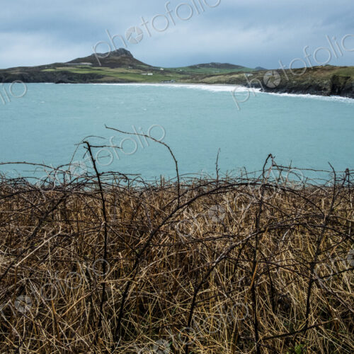 View along the rocky coastline of Pembrokeshire National Park, Wales, UK.