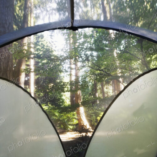 View from Inside Tent