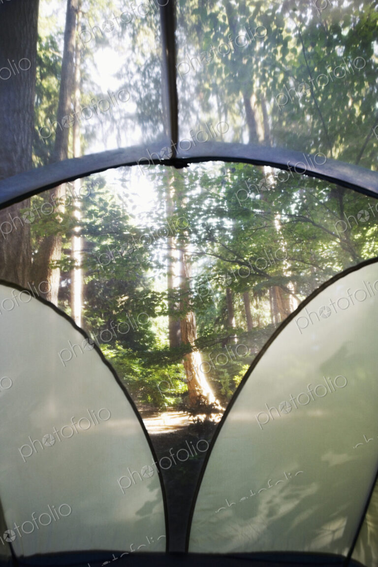 View from Inside Tent
