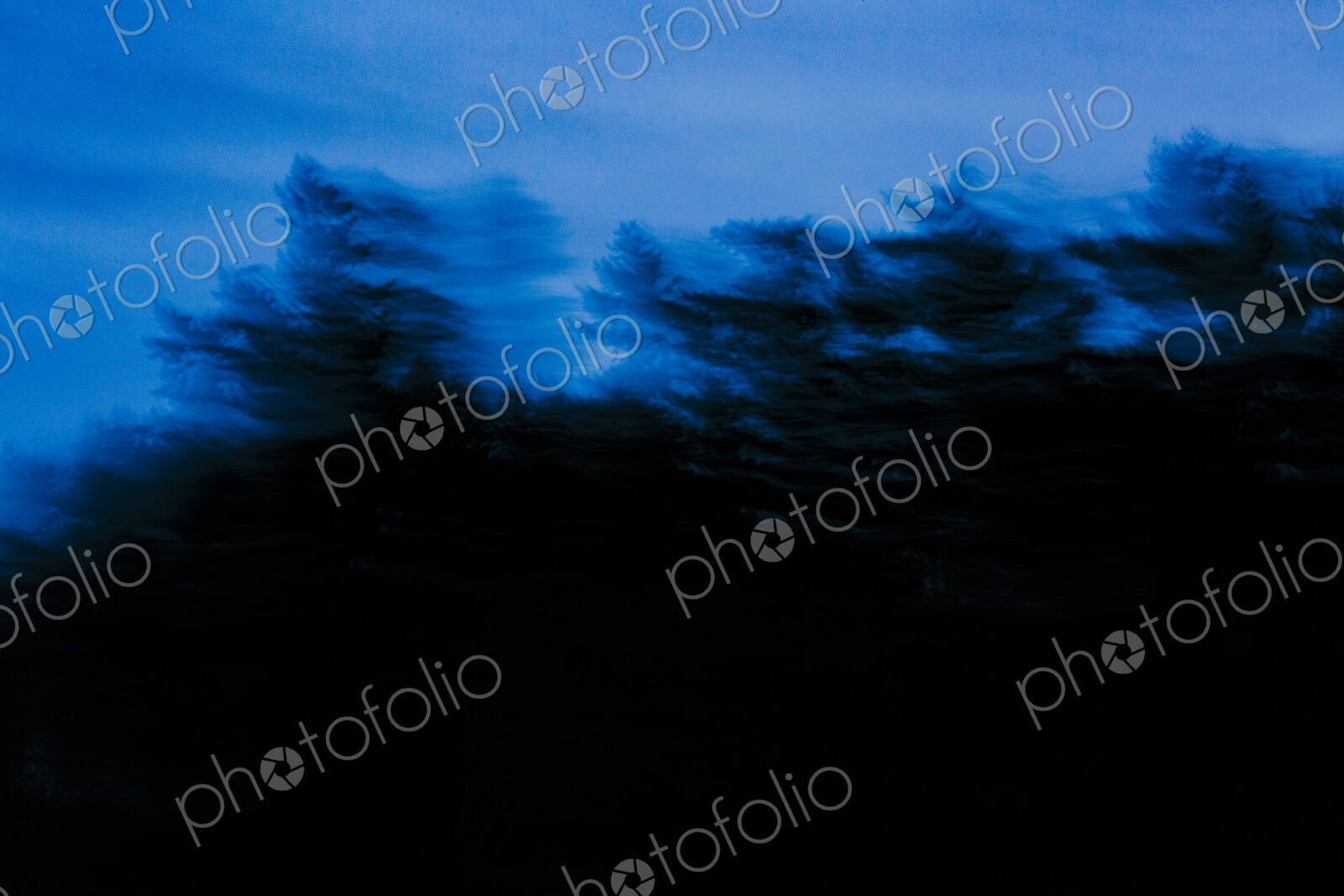 View from a car of roadside trees, blurred motion, at dusk.