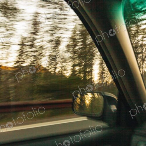 View from a moving car of the woodland beside the highway, blurred motion. View from a moving car of the woodland beside the highway, blurred motion.
