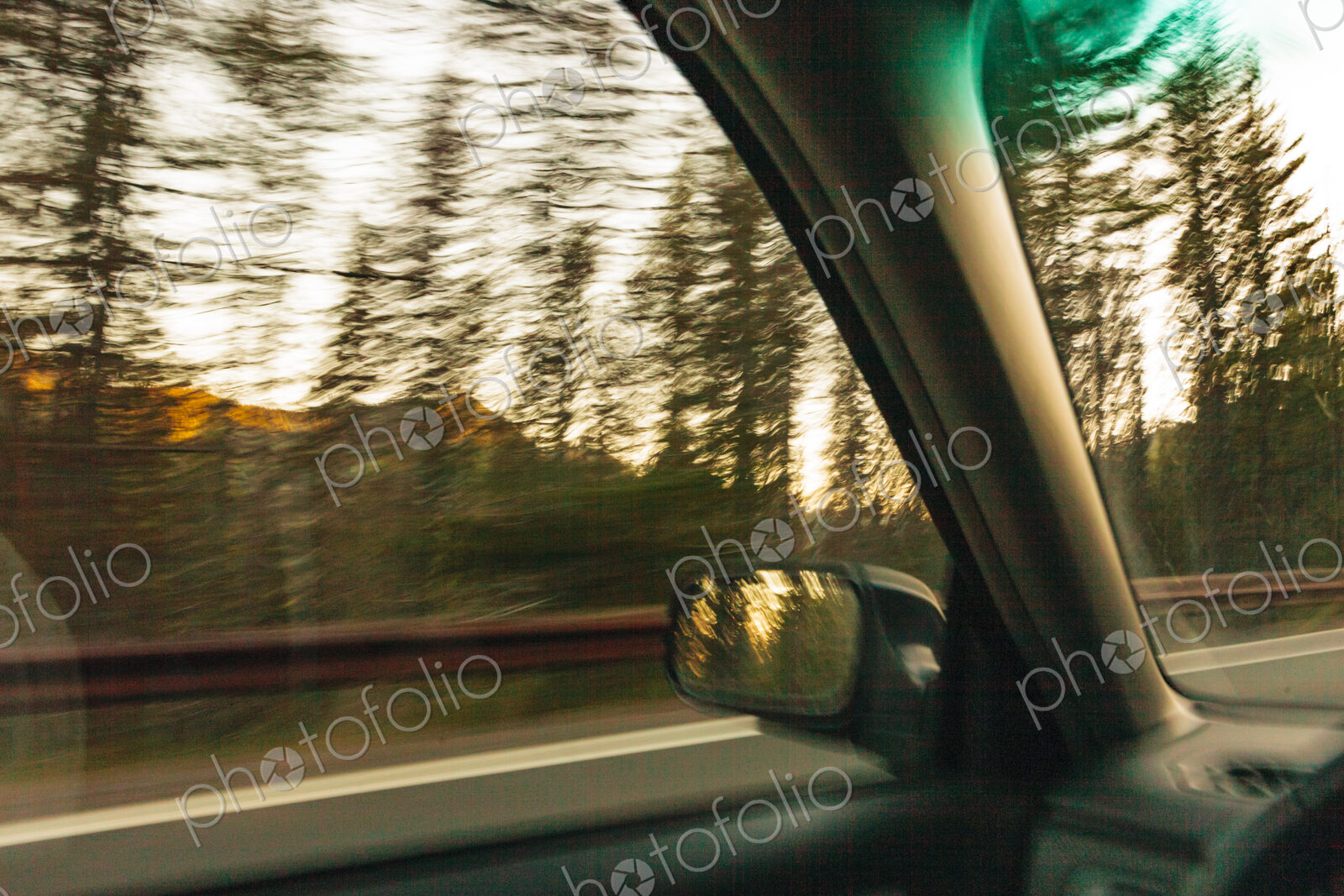 View from a moving car of the woodland beside the highway, blurred motion.