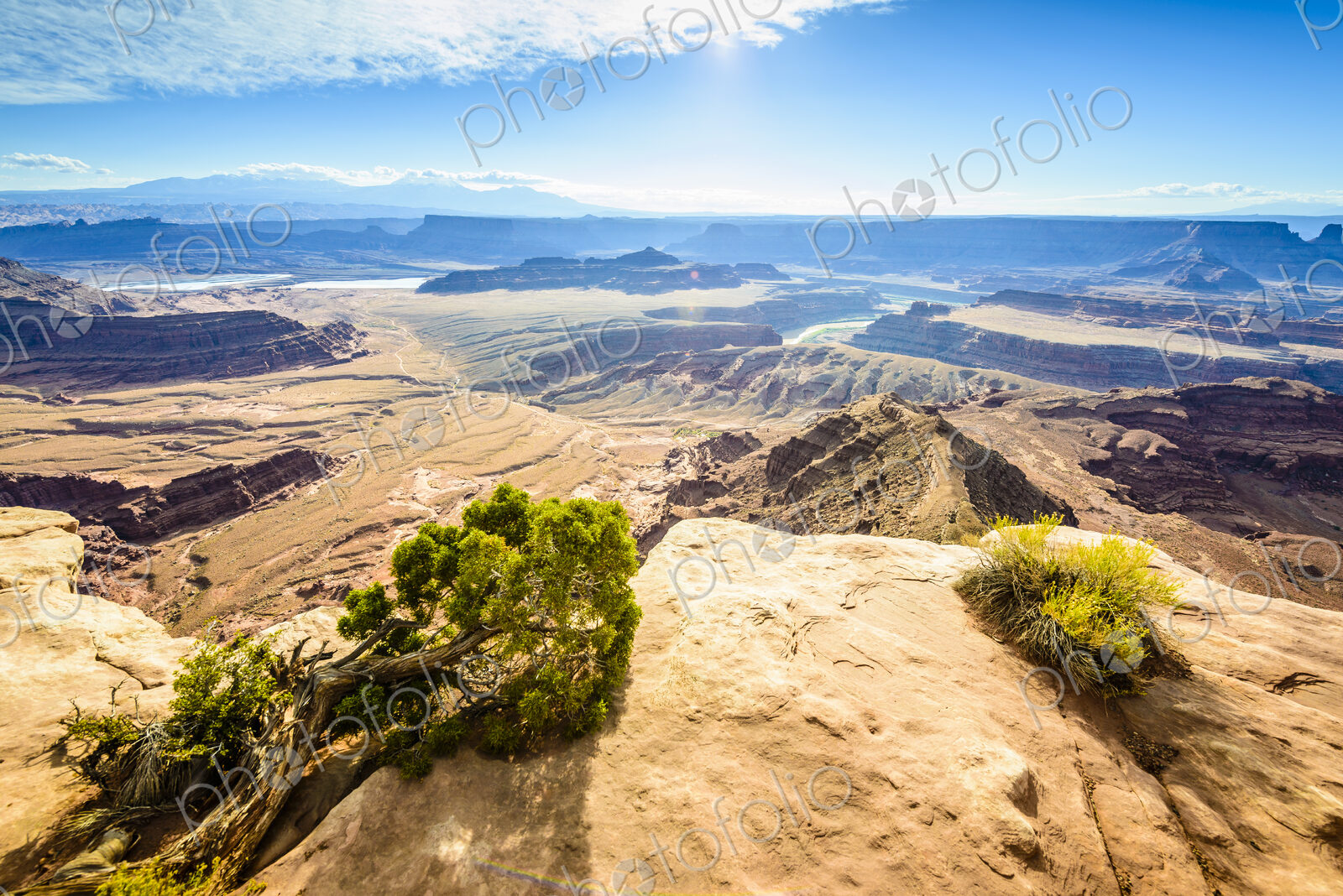 View from above of the messas and rock formations of Canyonlands National Park, and…
