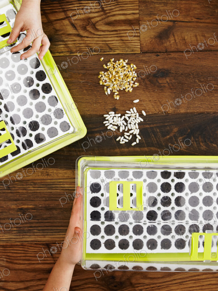 View from overhead of two children handling seed, and planting a variety of seeds into…