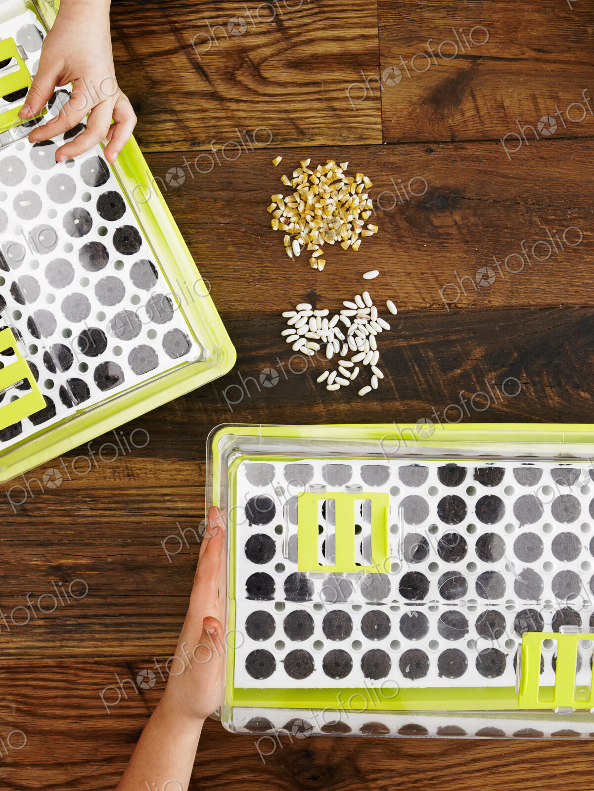 View from overhead of two children handling seed, and planting a variety of seeds into…