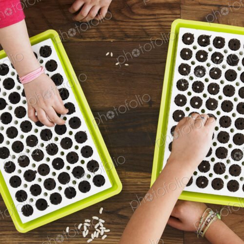 View from overhead of two children planting seeds into a seed growing tray. View from overhead of two children planting seeds into a seed growing tray.